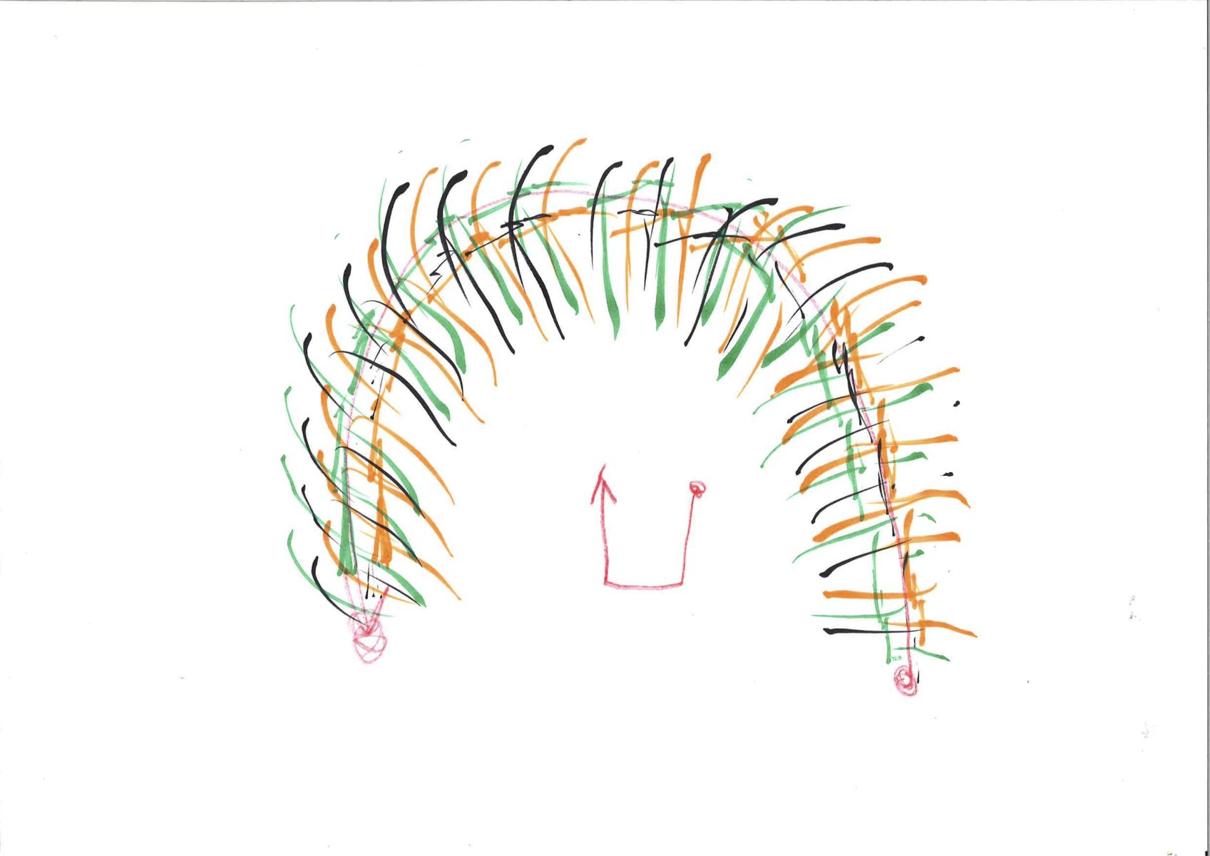 How to brush your teeth? - Drawings