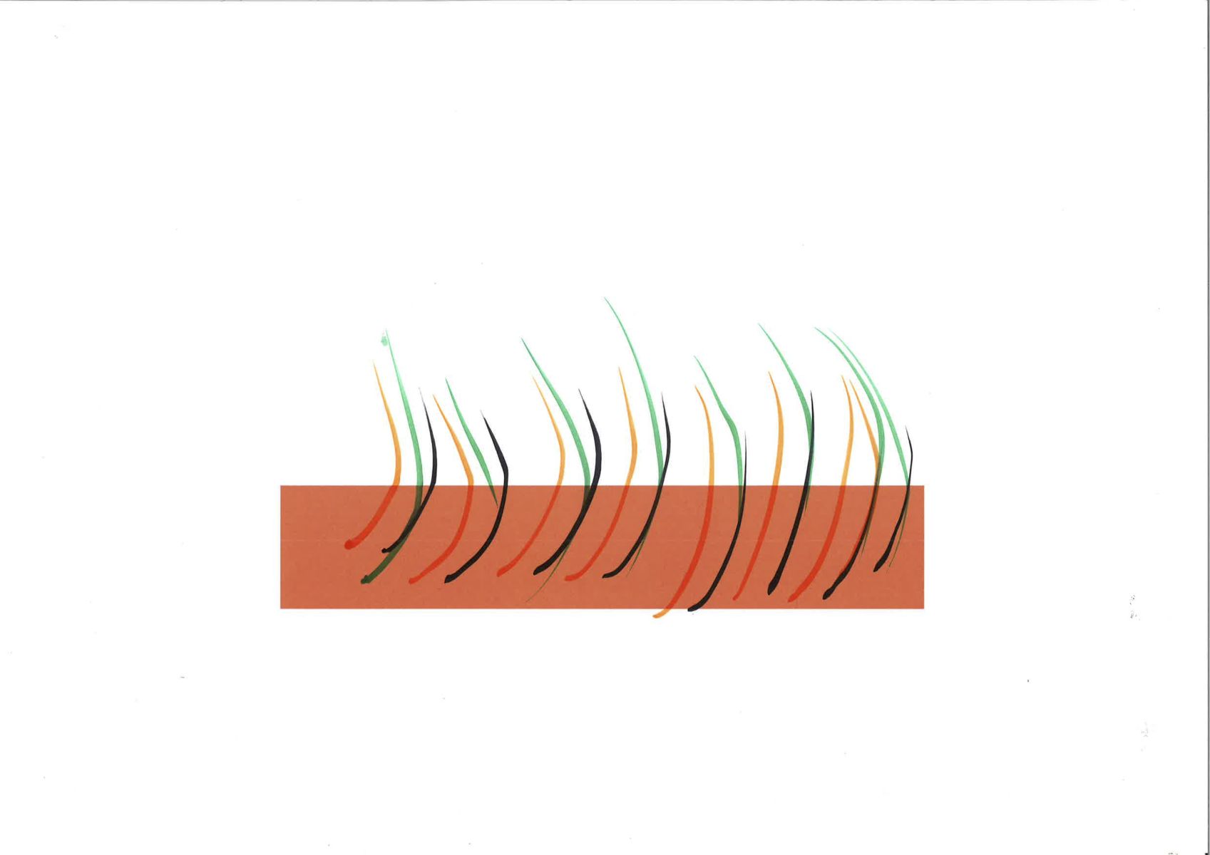 How to brush your teeth? - Drawings