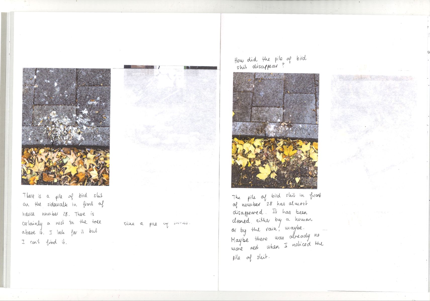 The Perecian Collection - A method to create a new reality of the everyday using conscious self-alienation